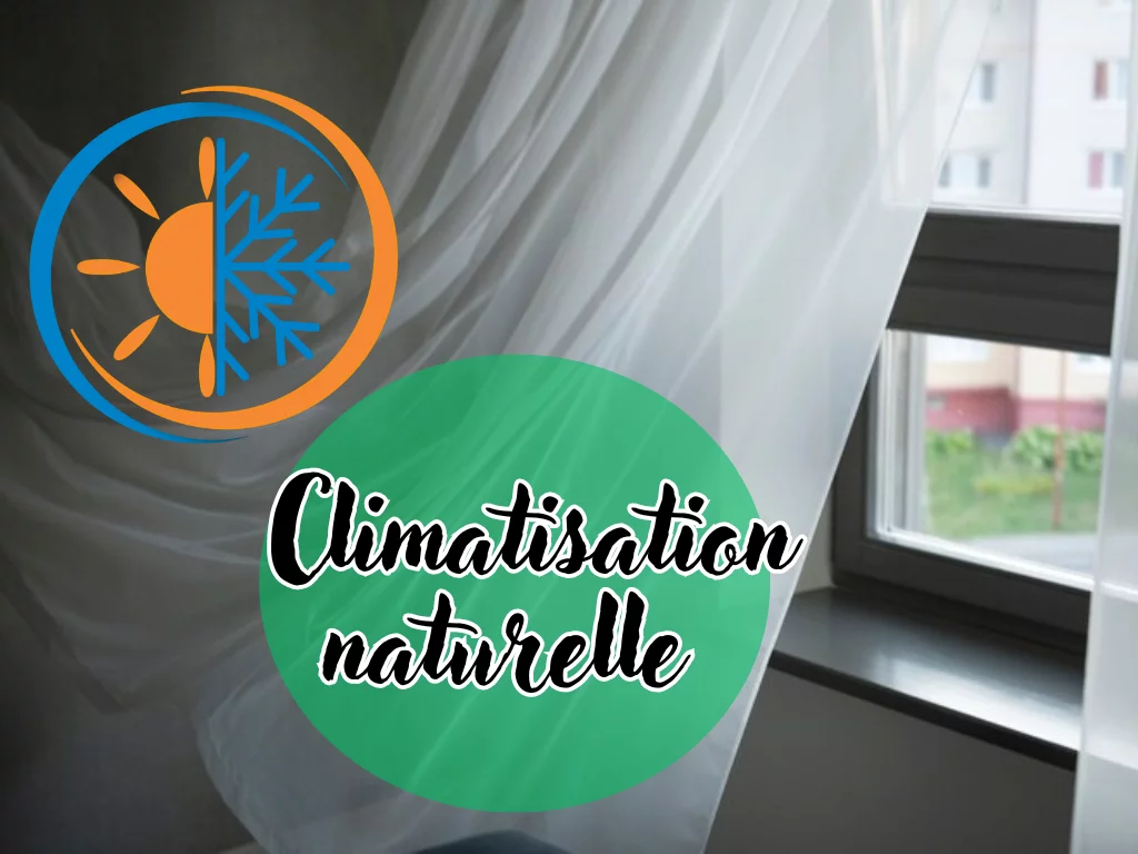 Solutions de réfrigération naturelle : 5 alternatives innovantes pour une conservation écoresponsable