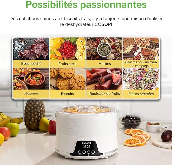 Déshydrateur Alimentaire Aliments